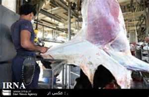 صدور 350 مجوز برای راه اندازی صنایع تبدیلی در خراسان جنوبی