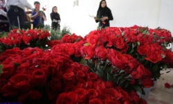 عرضه گل وگیاه وماهی زینتی همزمان با افتتاح دوازدهمین جشنواره گل وگیاه زینتی در اصفهان