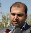 باغ زیتون فوق متراكم در پنج استان كشور ایجاد شد