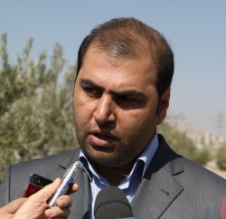 قریب به 86 هزار تن زیتون در باغات كشور تولید شد