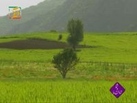 در نوروز کجاي ايران را بگرديم؟(65)
