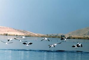 در نوروز کجاي ايران را بگرديم؟(67)