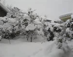 بارش برف و باران دراستان زنجان