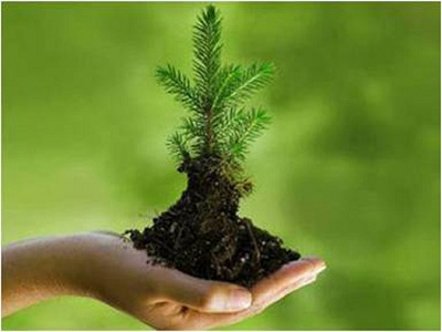 نتایج  تامل برانگیز یک نظرسنجی؛ از محیط زیست تا اقتصاد