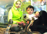 ثبت جهانی ماندن در آکواریوم مارها