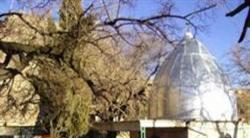 در نوروز کجاي ايران را بگرديم؟(126)