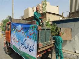 توزیع بیش از یک میلیون نهال در سطح نواحی تهران