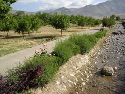 اخطار سازمان هواشناسي به کشاورزان/ احتمال خسارت به تاسيسات ومحصولات باغي، کشاورزي و دامپروري