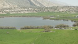 سرانه جنگل دركهگیلویه وبویراحمد بالاترازمیانگین جهانی وكشوری است