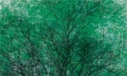 10 پرونده اثر طبیعی خراسان شمالی برای ثبت ملی ارسال شد