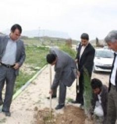 بسیجیان گچساران 25 هزار نهال غرس كردند