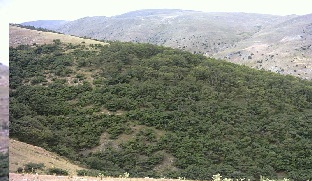 انجام دوطرح آبخیزداری بااعتبار500 میلیون ریال در روانسر