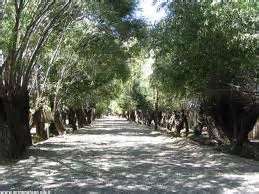 درنوروز کجاي ايران را بگرديم؟ (214)