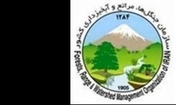 پارک جنگلی خوی درختکاری شد