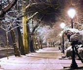 وزش باد شدید در استان های نیمه شرقی کشور/ تهران میزبان دمای زیر صفر درجه می شود