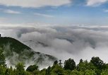 وسعت جنگلهای ایلام به یک میلیون هکتار خواهد رسید
