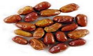 از سنجد بیشتر بدانیم