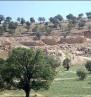 ارزش اقتصادی مراتع ایلام سالانه 10 هزار میلیارد ریال است‏