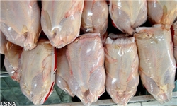 مرغ کیلویی ۶۲۰۰ تومان