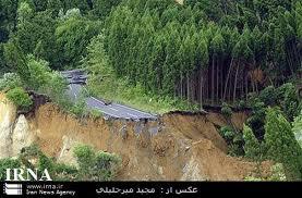 نهالکاری 115 هزار هکتار عرصه های جنگلی مازندران
