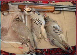 ثبت میراث معنوی شكار به معنای ترویج شكارگری نیست