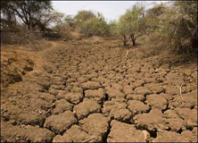 استان چهارمحال و بختیاری با خشكسالی شدید مواجه است