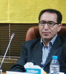 حوزه سواركاری ظرفیت بسیاری خوبی برای سرمایه گذاری بخش خصوصی است
