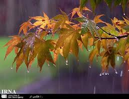 هوای گیلان گرمتر می شود