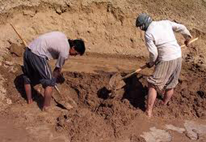 دست های بوسیدنی