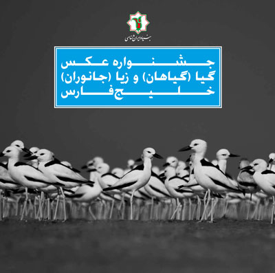 برپایی جشنواره عکس ایرانشناسی به تعویق افتاد
