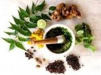 گیاهان انرژی زا  تعادل سیستم دفاعی بدن را بهبود می بخشد