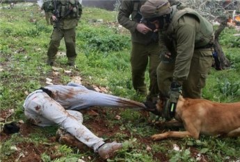 حمله سگ‌هاي آموزش ديده صهيونيست‌ها به فلسطينياني که فرياد "الله اکبر " سر مي دهند