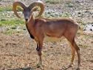 در نوروز کجای ایران را بگردیم؟(380)