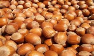 بفرمایید آنتی اکسیدان