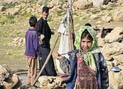 25 درصد از لبنیات و مواد پروتئیی گچساران توسط عشایر تولید می شود