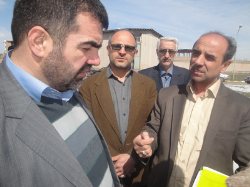 گندم ذخیره شده در استان اردبیل مطمئن و سالم است