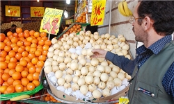 24 هزار ناظر نامحسوس بازار کشور را رصد می‌کنند