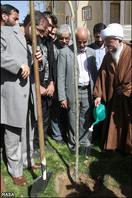 کاشت نهال به دست آيت الله جوادي آملي