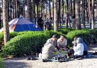 افزایش 15 درصدی مسافران نوروزی در مازندران
