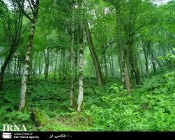 تشکیل شورای حفاظت از بیت‌المال در مازندران