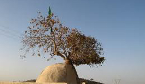 در نوروز کجای ایران را بگردیم؟(460)
