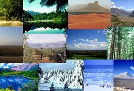 هنوز زمستان است، اما دمای هوا به ۲۳ درجه رسید