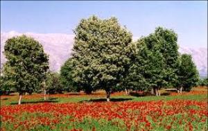 در نوروز کجای ایران را بگردیم؟