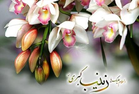 دختری که پیامبر(ص) پس از ولادتش گریست