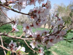 در نوروز کجاي ايران را بگرديم؟