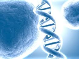 DNA و ارتباط آن با بیماری فشارخون بالا