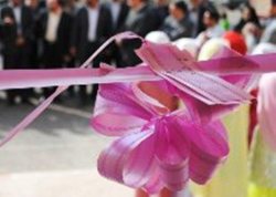 بندر تجاری شادگان با حضور معاون اول رییس جمهوری به بهره برداری رسید