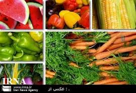 خرید توافقی 18 هزار تن محصول کشاورزی در خراسان جنوبی