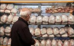 عرضه مرغ و ماهی با قیمت مناسب در كامیاران