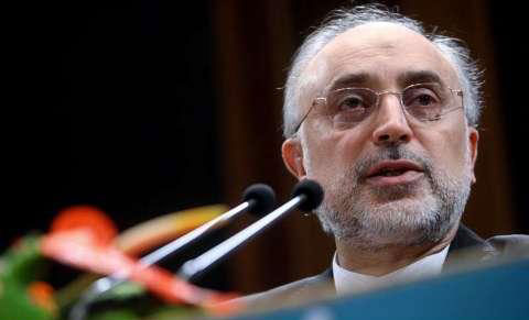 صالحی بر ضرورت گسترش روابط با کشورهای حوزه خلیج فارس تاکید کرد